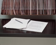 Kihúzható polc BIC08DRSPS